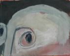 Brillenvogel