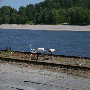 Fester Platz am Rhein